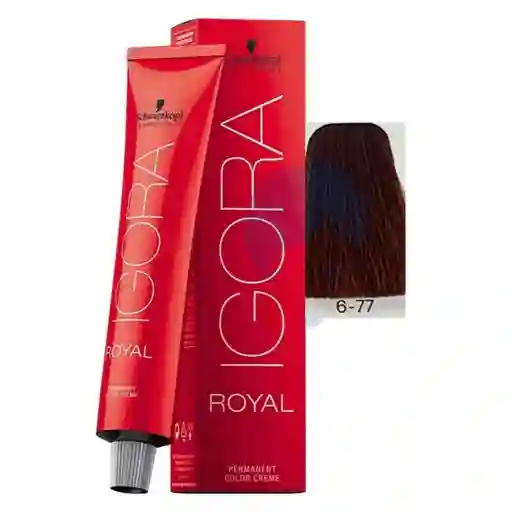 Igora Royal Tinte Rubio Oscuro Cobriz Intenso N.6.77 X 60ml