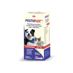 Postuflex Formula Que Previene Y Trata Problamas Oseos 120ml