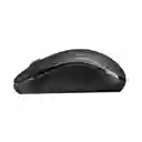 Mouse Inalámbrico Usb M10 Ra007 Negro 1000dpi - Rapoo