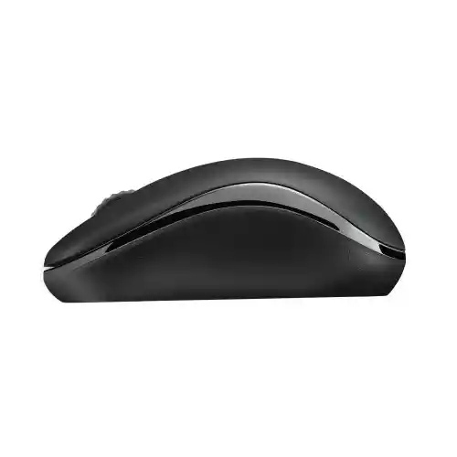 Mouse Inalámbrico Usb M10 Ra007 Negro 1000dpi - Rapoo