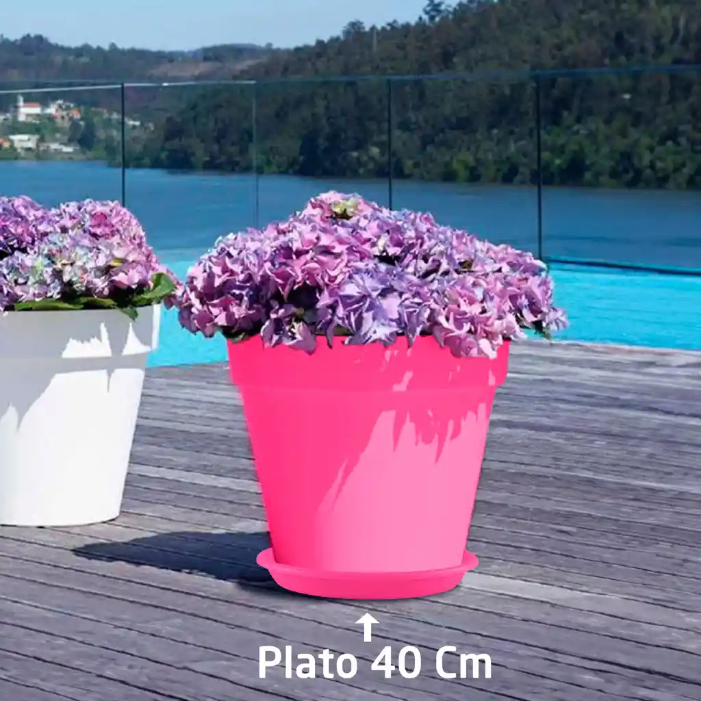 Plato 40 Cm Fucsia