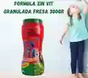 Zin Vit Granulado Vainilla X 300gr