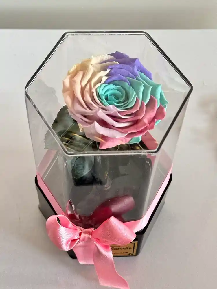 Rosa Preservada De Color Encimera Aja Acrílica Hexagonal De Lujo. Tonos Iris