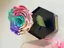 Rosa Preservada De Color Encimera Aja Acrílica Hexagonal De Lujo. Tonos Iris
