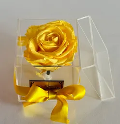 Rosa Amarilla Eterna En Cofre Acrílico. Pequeño,