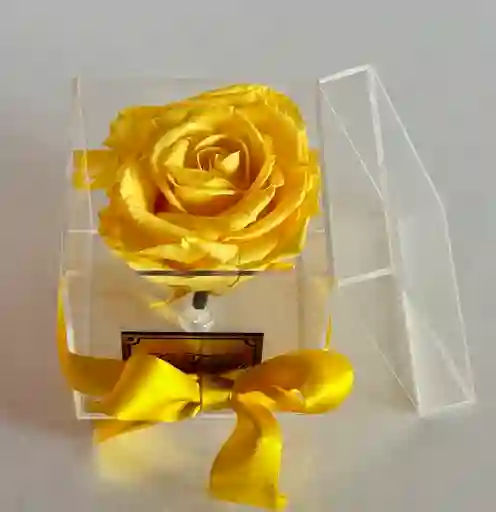 Rosa Amarilla Eterna En Cofre Acrílico. Pequeño,