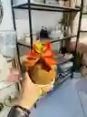 Kokedama