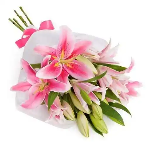 Bouquet De Lirios De Exportacion