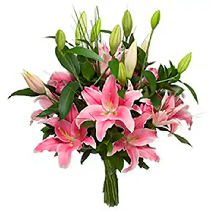 Bouquet De Lirios De Exportacion