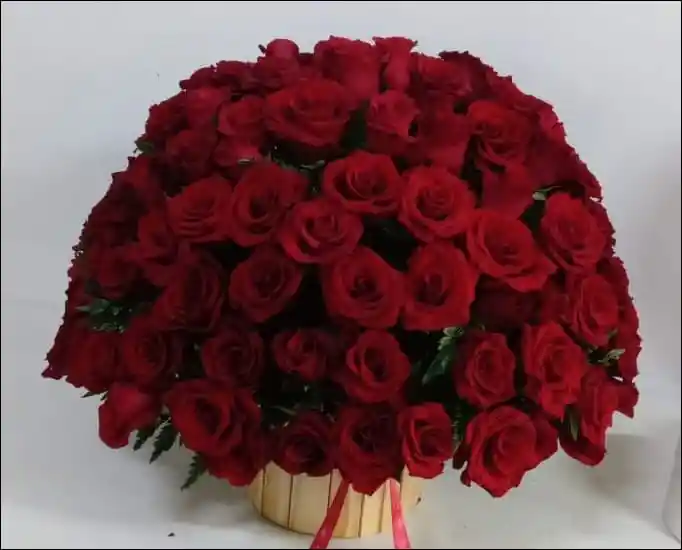 Red Flowers