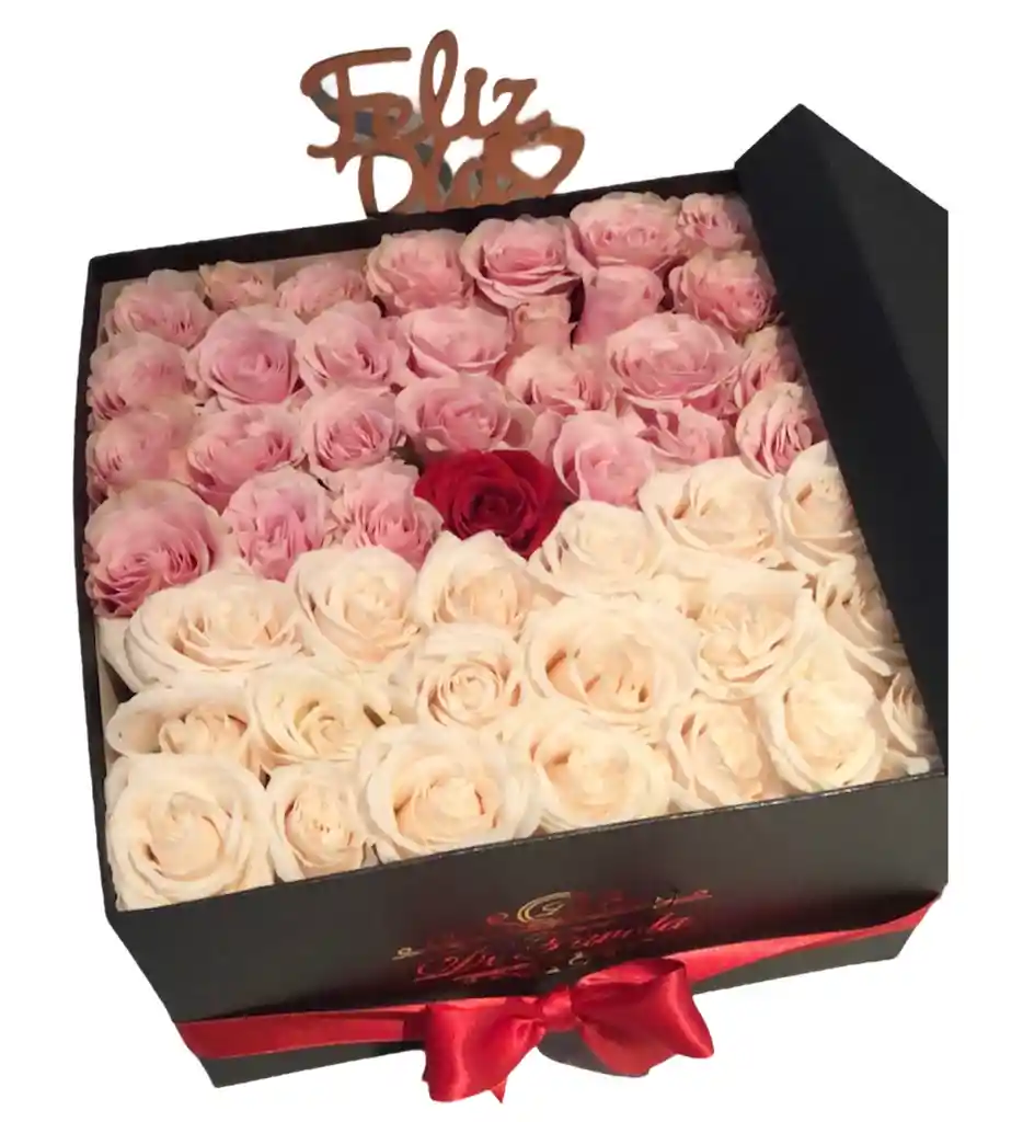 Rosas De Amor Roja, Blanca Y Rosada. Caja Cuadrada. 49 Rosas Exportación