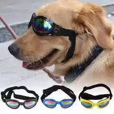 Gafas Para Perros Y Gatos