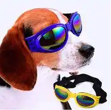 Gafas Para Perros Y Gatos