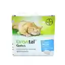 Drontal Gatos Adultos Tabletas