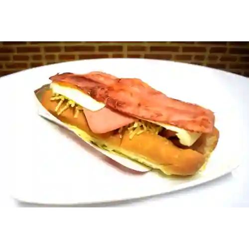 Perro Especial
