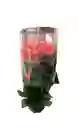 Paquete De Rosas * 24 Salmon