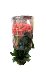 Paquete De Rosas * 24 Salmon