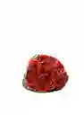 Paquete De Rosas * 24 Salmon
