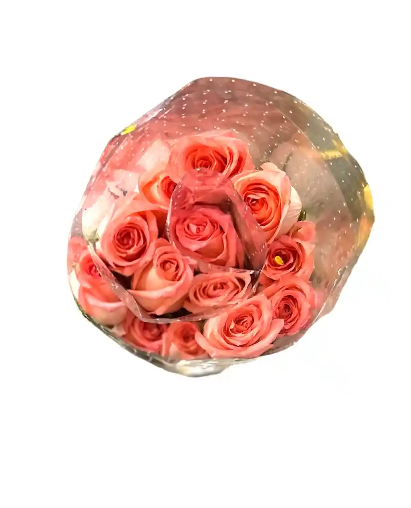 Paquete De Rosas * 24 Rosada