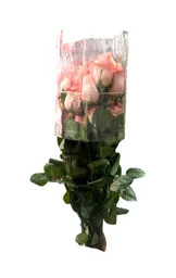 Paquete De Rosas * 24 Rosada