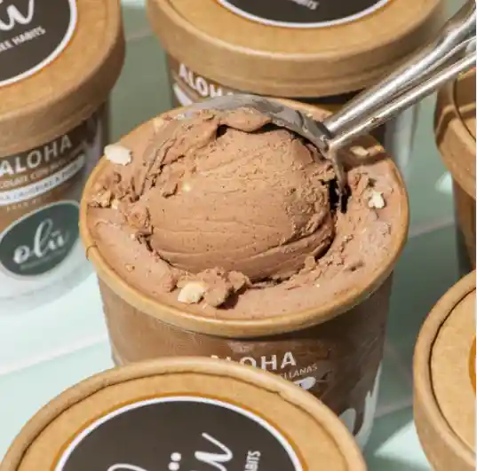 Helado Vegano Chocolate Con Avellanas 4 Oz