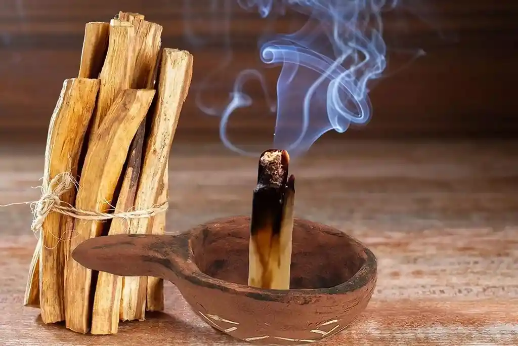 Palo Santo O Madera Sagrada