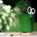Matera Limes Uno 16 Cm Verde Oliva