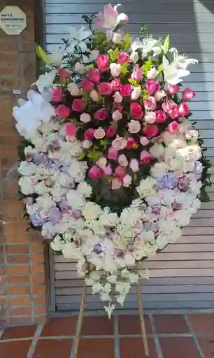 Funebre Presidencial -1