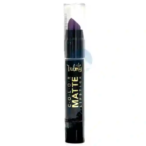 Valmy Labial Mate Fantastica X 2.5gr