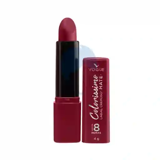 Vogue Labial Colorissimo Mate Canela Intensa X 4gr