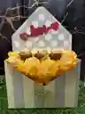 Caja Primavera