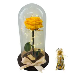 Rosa Amarilla Preservada Con Luz