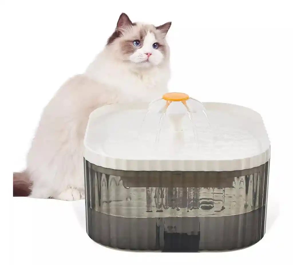 Fuente De Agua Para Gatos De Flor Silenciosa Para Mascotas