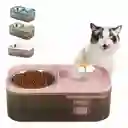 Fuente Doble De Agua Para Gato Perro Con Plato Para Comida