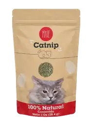 Pixie - Catnip