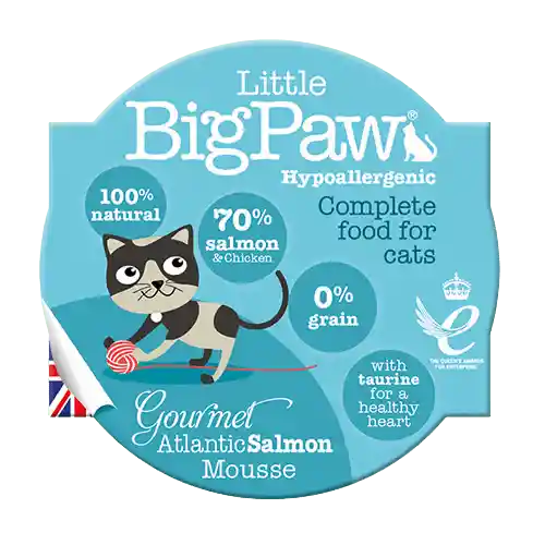 Feline Lbp Goumete Atlantic Salmon 85 Gr