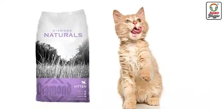 Diamonds Naturals Kitten Para Gatitos