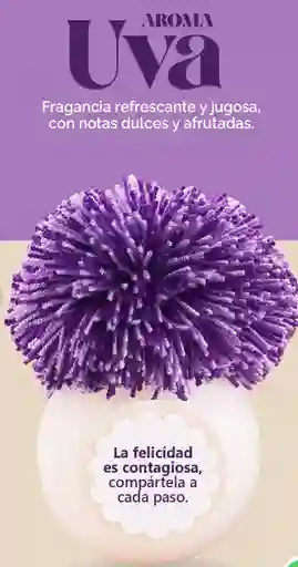 Difusores De Aroma 100 % Artesanales