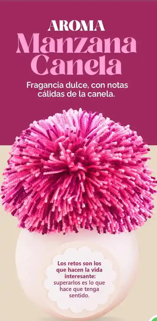 Difusores De Aroma 100 % Artesanales