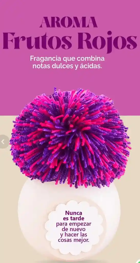 Difusores De Aroma 100 % Artesanales