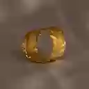 Anillo Entero Helecho Canela