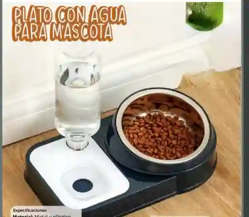 Bebedero Plato Con Agua Para Mascotas