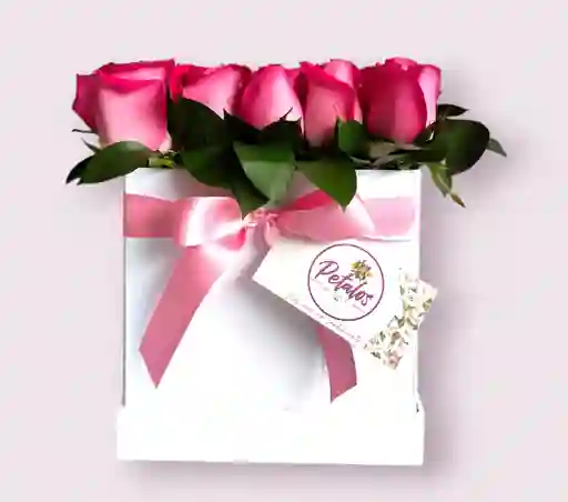 Caja Emily