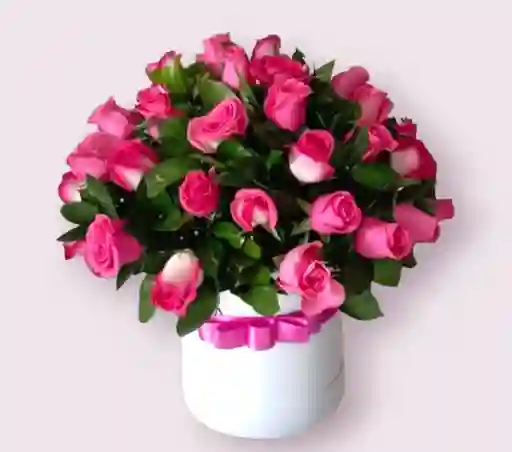 Caja Amor Fucsia 44 Rosas