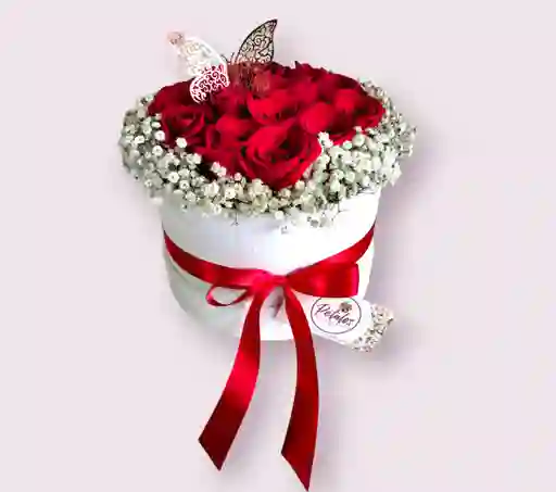 Caja Mariposa