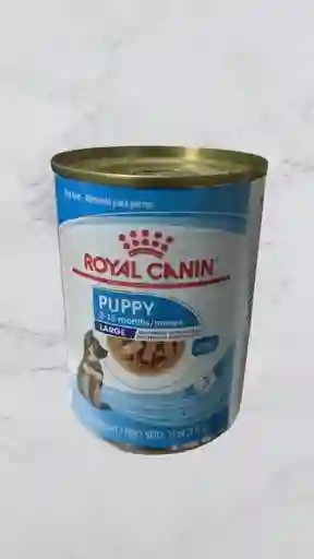 Alimento Humedo Royal Canin Para Perro Puppy Raza Grande 385 Gr