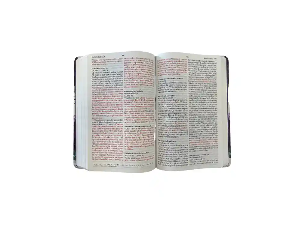 Rvr 1960 Biblia Letra Grande Flores-morada