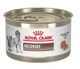 Royal Canin Recovery Lata