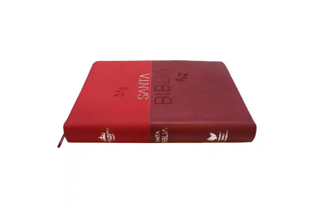 Biblia Rvr 1960, Letra Gigante, (vino Tinto Cereza)
