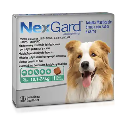 Nexgard 10,1 -25kg